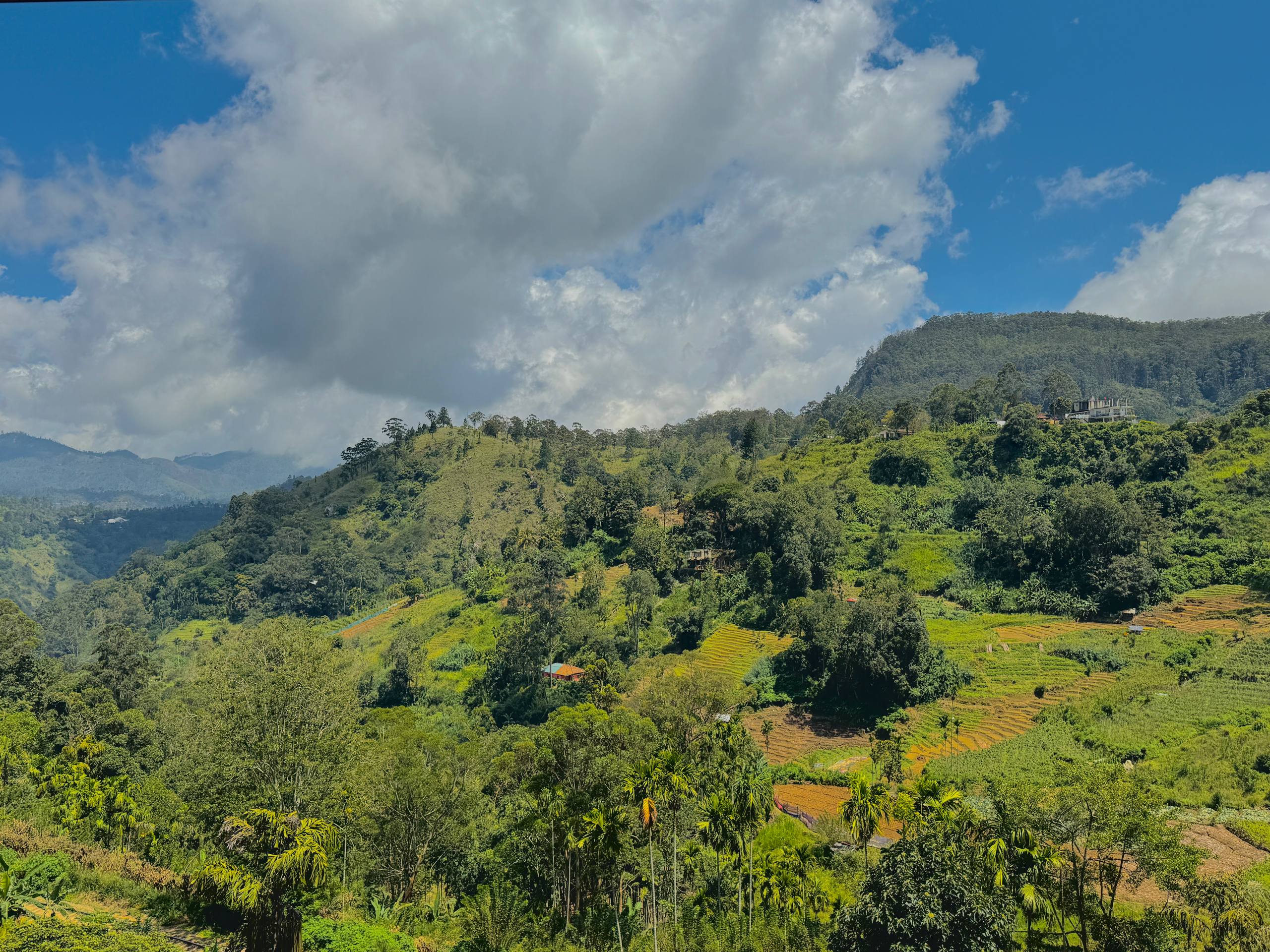 Sri Lanka Scenic 5